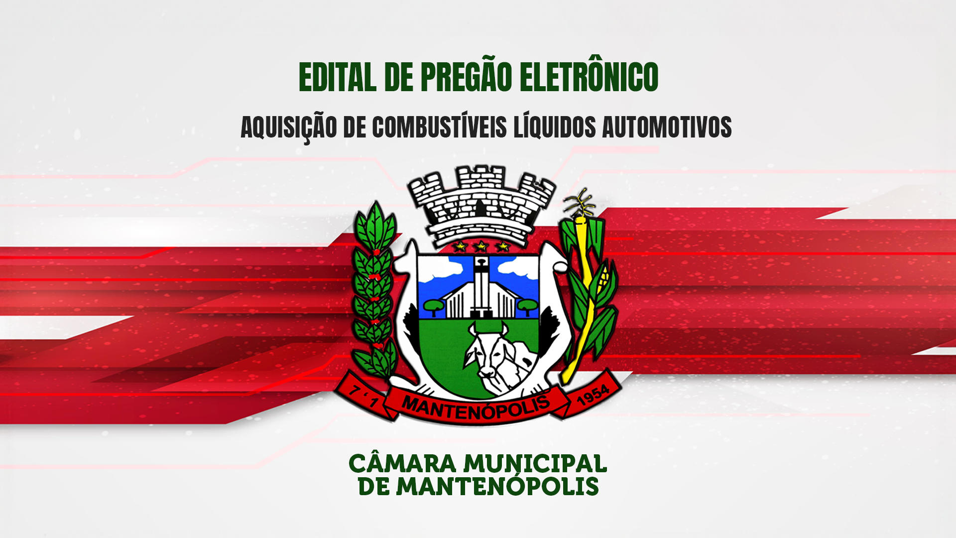 EDITAL DE PREGÃO ELETRÔNICO | COMBUSTÍVEL